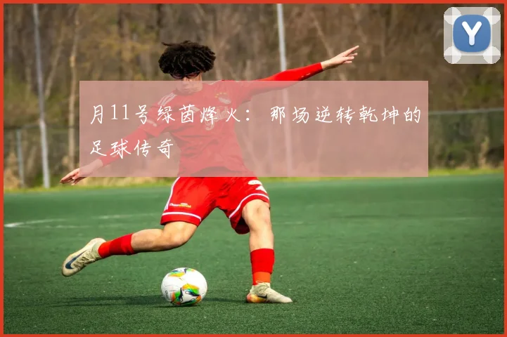 月11号绿茵烽火:那场逆转乾坤的足球传奇