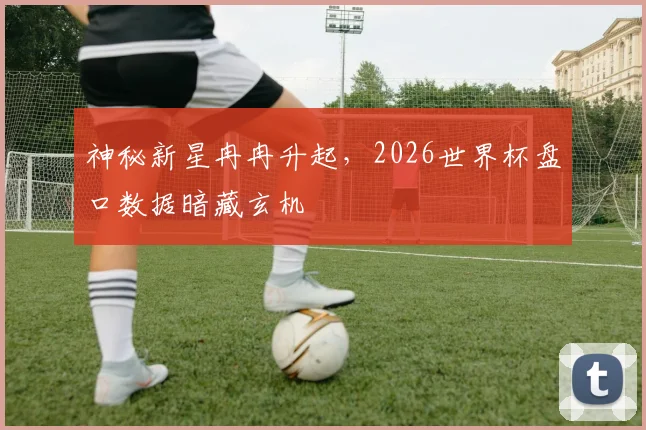 神秘新星冉冉升起，2026世界杯盘口数据暗藏玄机