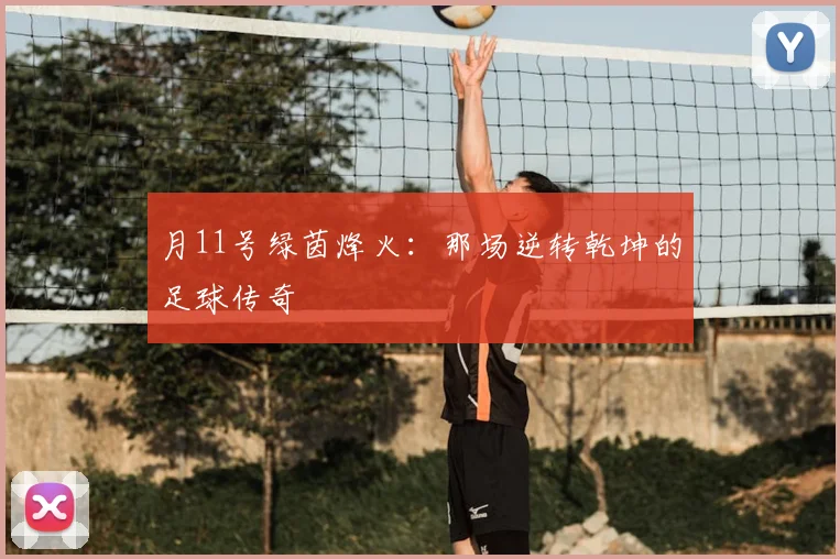 月11号绿茵烽火:那场逆转乾坤的足球传奇