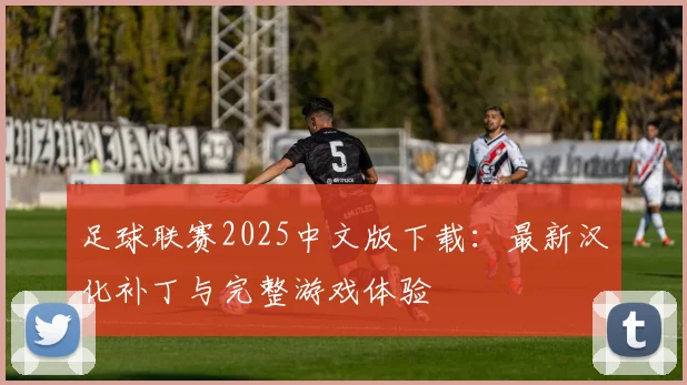 足球联赛2025中文版下载：最新汉化补丁与完整游戏体验