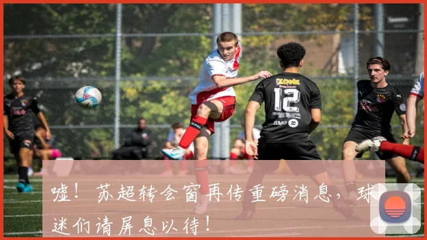 嘘!苏超转会窗再传重磅消息,球迷们请屏息以待!